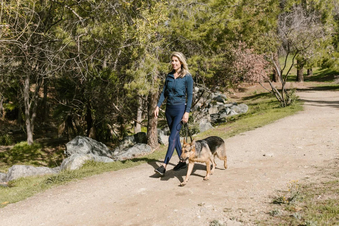 Dog Charities - Our Recommendations For The Best